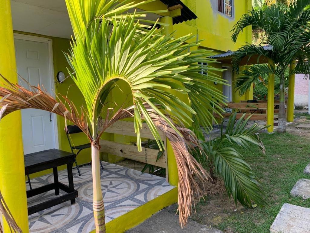 Tha Lagoon Spots Cool Vybz Port Antonio Exterior photo